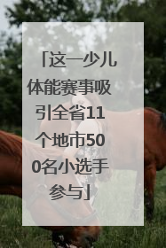 这一少儿体能赛事吸引全省11个地市500名小选手参与