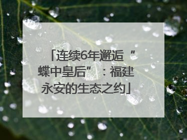 连续6年邂逅“蝶中皇后”：福建永安的生态之约
