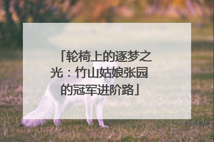轮椅上的逐梦之光：竹山姑娘张园的冠军进阶路