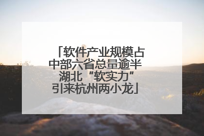 软件产业规模占中部六省总量逾半 湖北“软实力”引来杭州两小龙