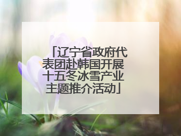 辽宁省政府代表团赴韩国开展十五冬冰雪产业主题推介活动