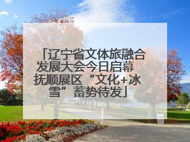 辽宁省文体旅融合发展大会今日启幕 抚顺展区“文化+冰雪”蓄势待发