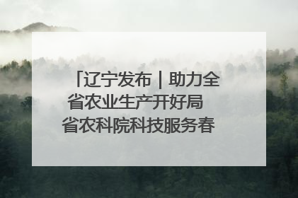 辽宁发布｜助力全省农业生产开好局 省农科院科技服务春耕备耕成效显著