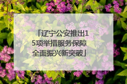 辽宁公安推出15项举措服务保障全面振兴新突破