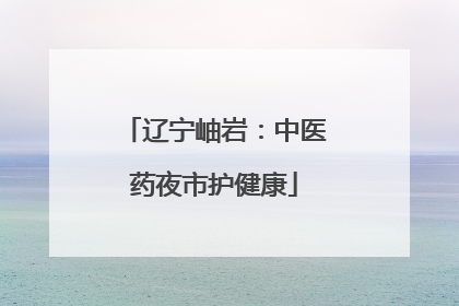 辽宁岫岩：中医药夜市护健康