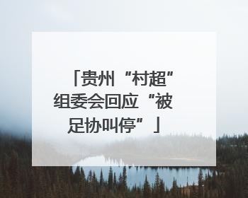 贵州“村超”组委会回应“被足协叫停”