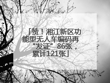 赞！湘江新区功能型无人车编码再“发证”86张，累计121张