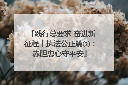 践行总要求 奋进新征程丨执法公正篇③：赤胆忠心守平安