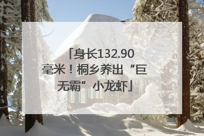 身长132.90毫米！桐乡养出“巨无霸”小龙虾