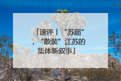 速评丨“苏超”，“散装”江苏的集体新叙事