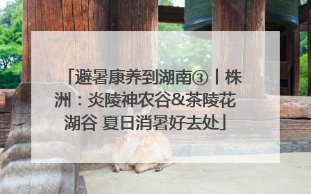 避暑康养到湖南③丨株洲：炎陵神农谷&茶陵花湖谷 夏日消暑好去处