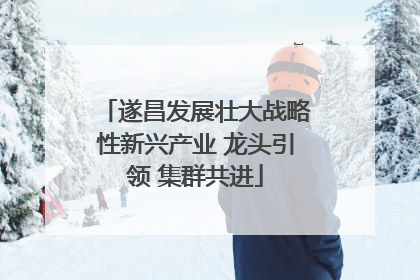 遂昌发展壮大战略性新兴产业 龙头引领 集群共进
