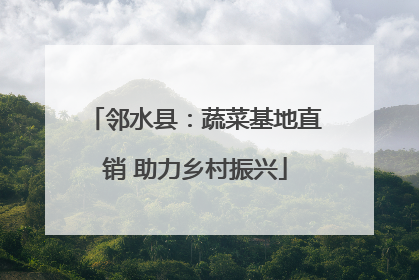 邻水县：蔬菜基地直销 助力乡村振兴