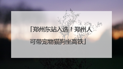 郑州东站入选！郑州人可带宠物猫狗坐高铁