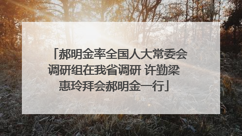 郝明金率全国人大常委会调研组在我省调研 许勤梁惠玲拜会郝明金一行