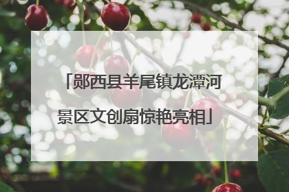 郧西县羊尾镇龙潭河景区文创扇惊艳亮相