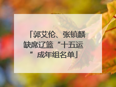 郭艾伦、张镇麟缺席辽篮“十五运”成年组名单