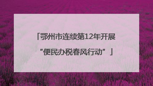 鄂州市连续第12年开展“便民办税春风行动”