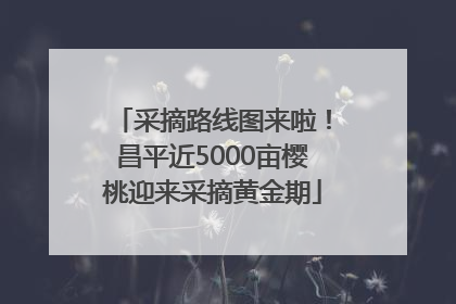 采摘路线图来啦！昌平近5000亩樱桃迎来采摘黄金期