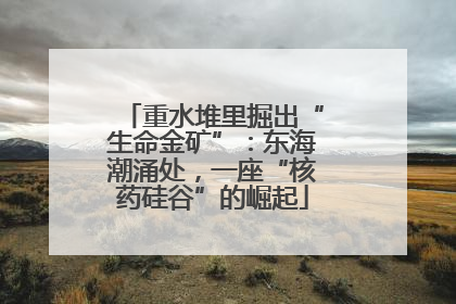 重水堆里掘出“生命金矿”：东海潮涌处，一座“核药硅谷”的崛起