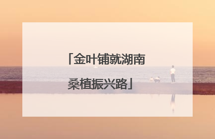 金叶铺就湖南桑植振兴路