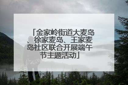 金家岭街道大麦岛、徐家麦岛、王家麦岛社区联合开展端午节主题活动