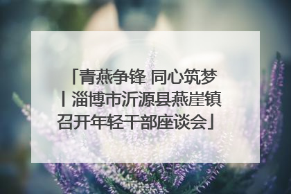 青燕争锋 同心筑梦丨淄博市沂源县燕崖镇召开年轻干部座谈会