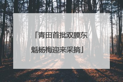 青田首批双膜东魁杨梅迎来采摘