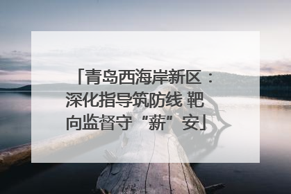 青岛西海岸新区：深化指导筑防线 靶向监督守“薪”安