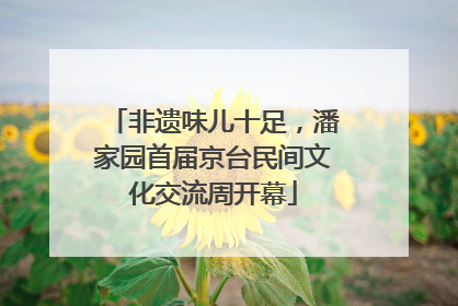 非遗味儿十足，潘家园首届京台民间文化交流周开幕