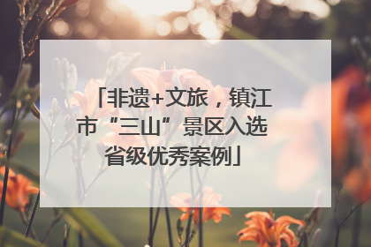 非遗+文旅，镇江市“三山”景区入选省级优秀案例