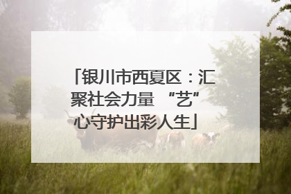 银川市西夏区：汇聚社会力量 “艺”心守护出彩人生