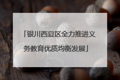 银川西夏区全力推进义务教育优质均衡发展