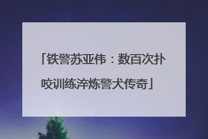 铁警苏亚伟：数百次扑咬训练淬炼警犬传奇