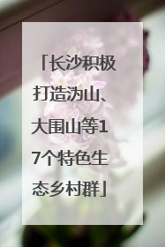 长沙积极打造沩山、大围山等17个特色生态乡村群