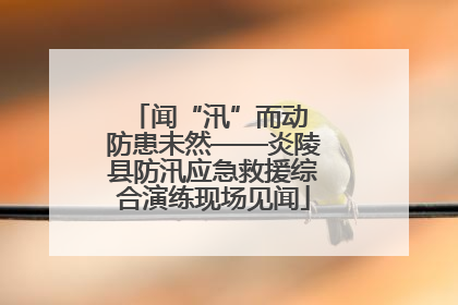 闻“汛”而动 防患未然——炎陵县防汛应急救援综合演练现场见闻