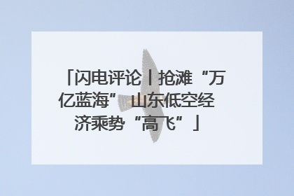闪电评论丨抢滩“万亿蓝海” 山东低空经济乘势“高飞”