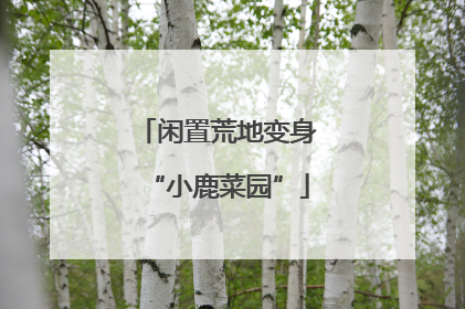 闲置荒地变身“小鹿菜园”