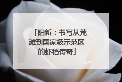 阳新：书写从荒滩到国家级示范区的虾稻传奇