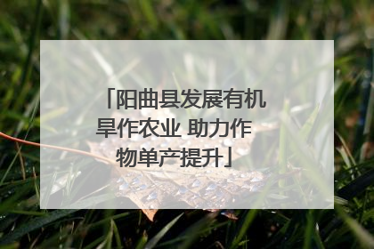 阳曲县发展有机旱作农业 助力作物单产提升