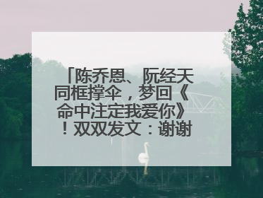 陈乔恩、阮经天同框撑伞，梦回《命中注定我爱你》！双双发文：谢谢我们都没变