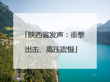 陕西省发声：重拳出击、高压震慑