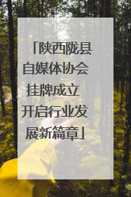 陕西陇县自媒体协会挂牌成立 开启行业发展新篇章