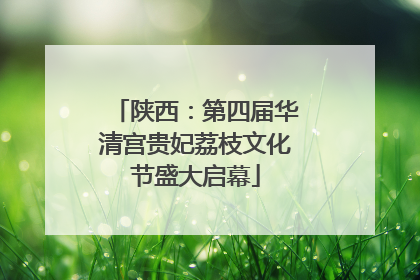 陕西：第四届华清宫贵妃荔枝文化节盛大启幕