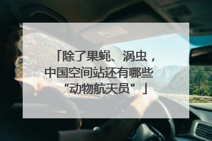 除了果蝇、涡虫，中国空间站还有哪些“动物航天员”