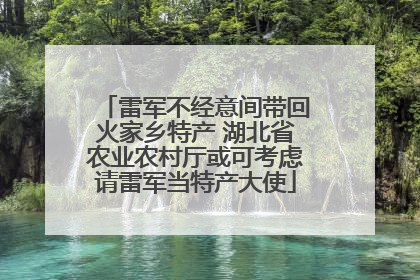 雷军不经意间带回火家乡特产 湖北省农业农村厅或可考虑请雷军当特产大使
