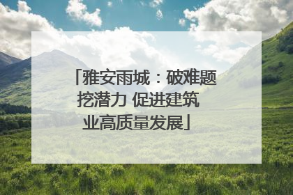 雅安雨城：破难题 挖潜力 促进建筑业高质量发展