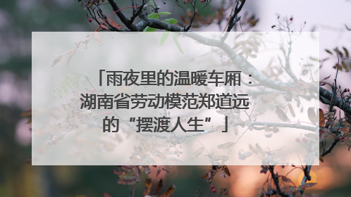 雨夜里的温暖车厢：湖南省劳动模范郑道远的“摆渡人生”