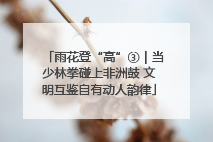 雨花登“高”③｜当少林拳碰上非洲鼓 文明互鉴自有动人韵律