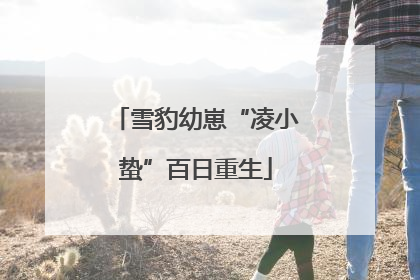 雪豹幼崽“凌小蛰”百日重生